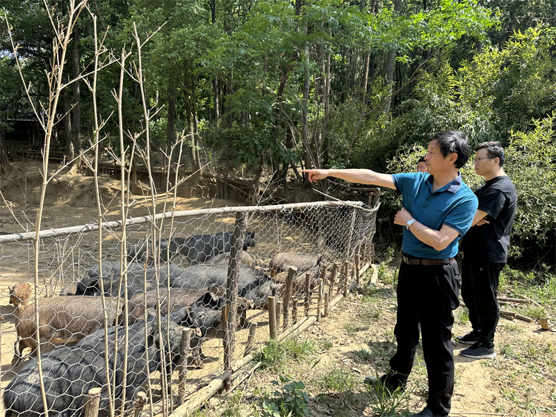 “追尋紅色足跡，擁抱生態(tài)夏意”-夏日團建活動9