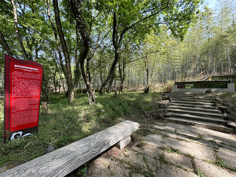 “追尋紅色足跡，擁抱生態(tài)夏意”-夏日團建活動2